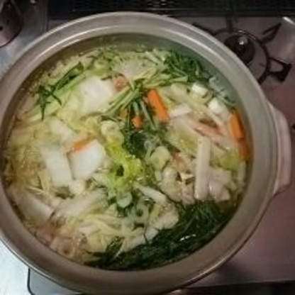 いろいろと野菜を入れて作りました。大変おいしかったです。